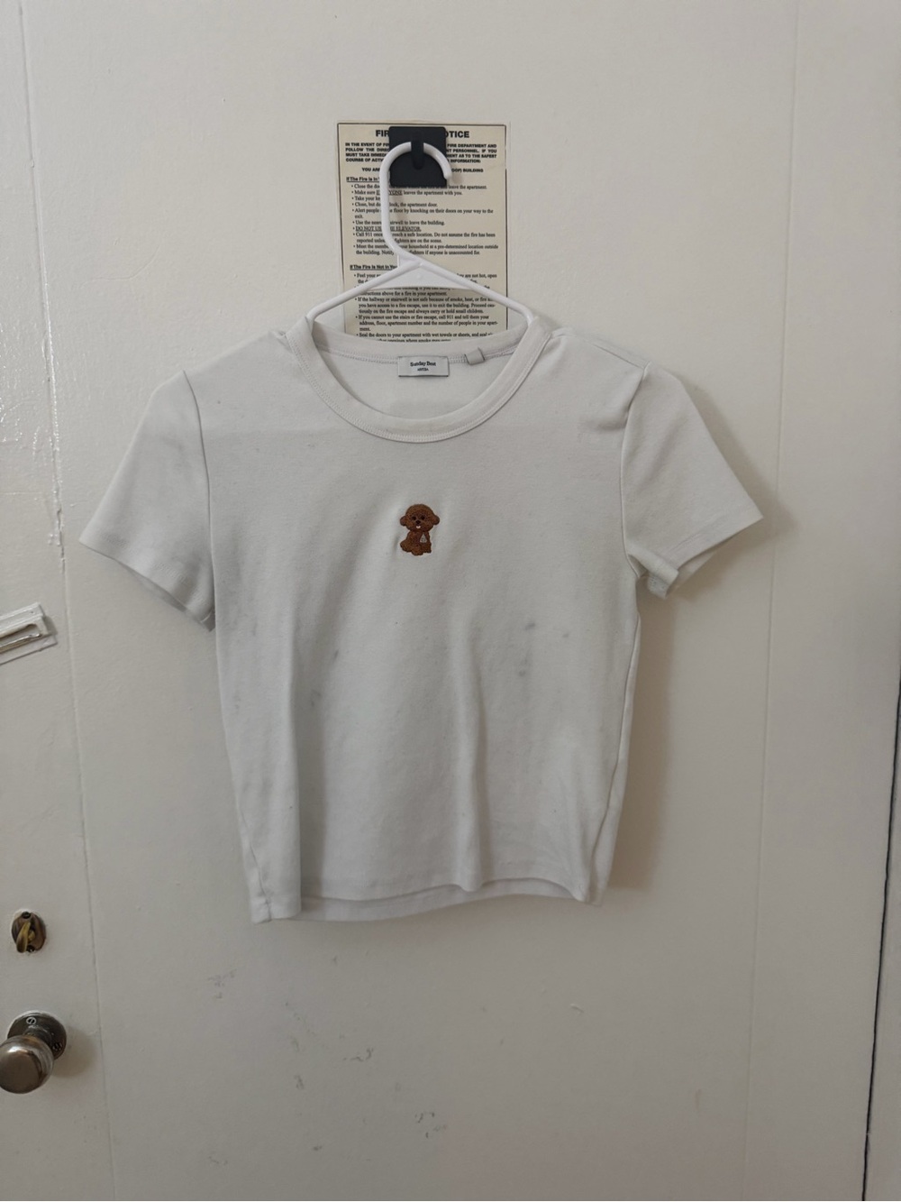 Aritzia White Short Sleeve Tee with Brown Puppy Embroidery